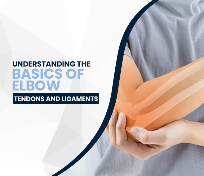 Understanding the Basics of Elbow Tendons and Ligaments